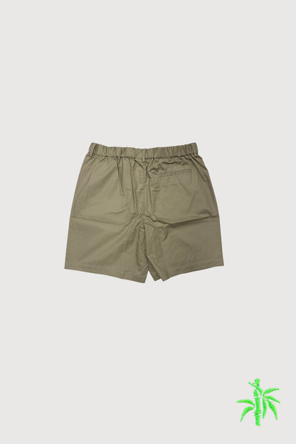 Sizing Sample-Men's Slim Fit Shorts BSP0004