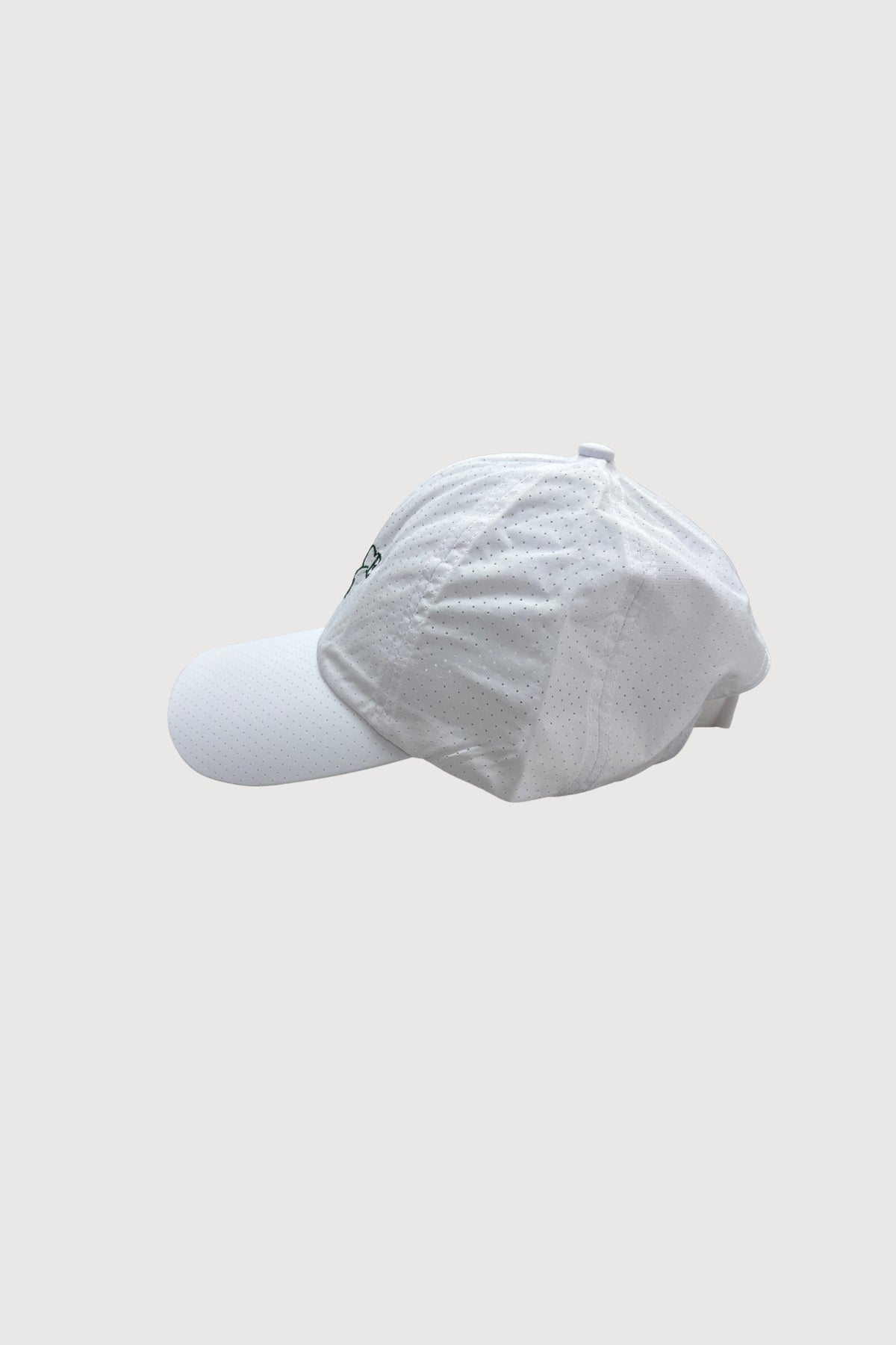 Unisex Cap with Embroidered Logo CAP0008