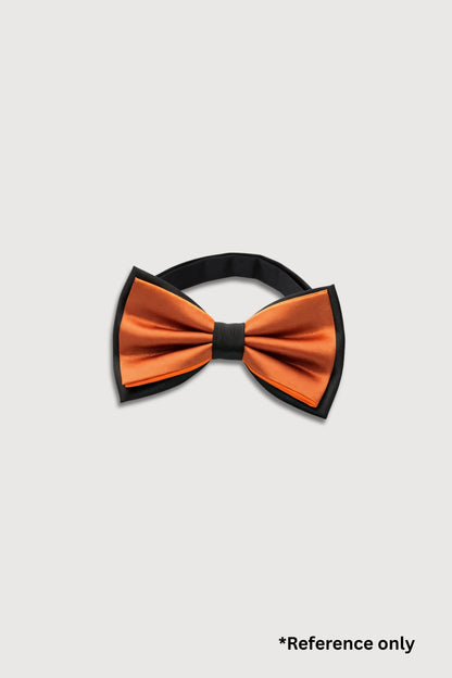 Upcycled Pet collar/ Bowtie